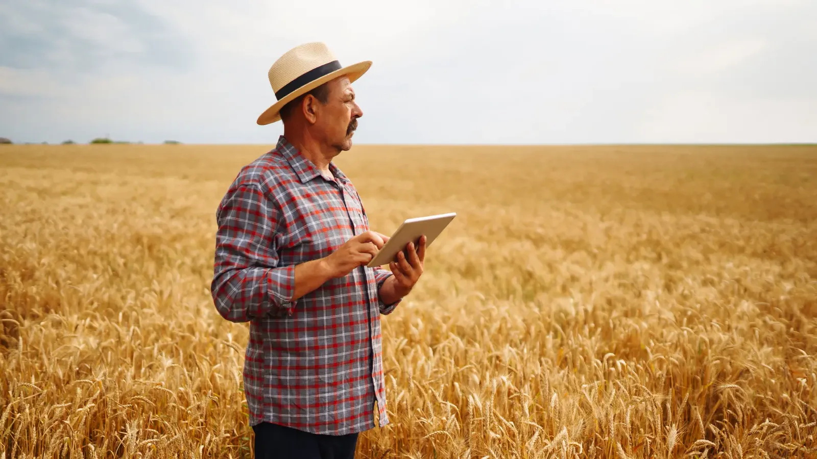 AYM Yield Monitoring Solution